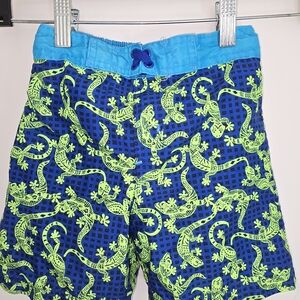 LILY And DAN Kids Swim Trunks with Lizard Print‎ - Blue and Green Boys
